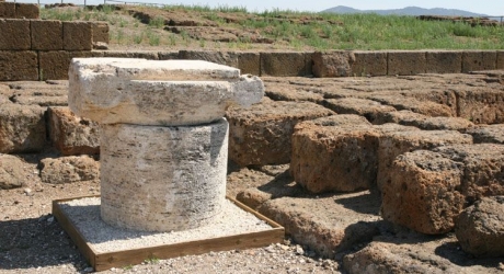 Oggi a lavoro presso: Parco Archeologico di Vulci 